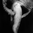 d6a43e2301ece9f7ef4dfd8a85f9534c.jpg