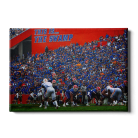 fba6869f278962ee31a2494cf16e61c8.png