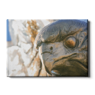 301f179ed7a6015cba3b3258a2ea05cf.png