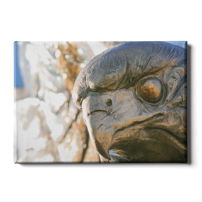 301f179ed7a6015cba3b3258a2ea05cf.png