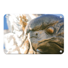 41c5194fe740ebb8aaa5bad7d1bad2d7.png