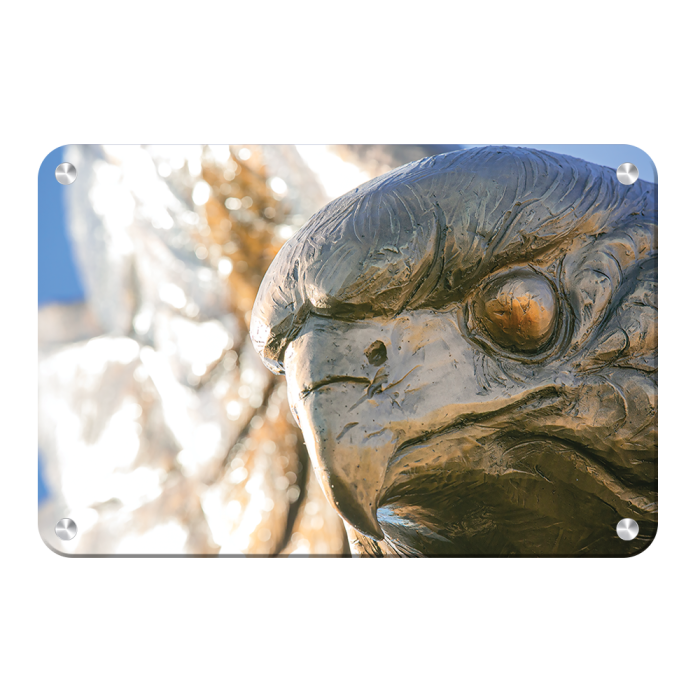 41c5194fe740ebb8aaa5bad7d1bad2d7.png