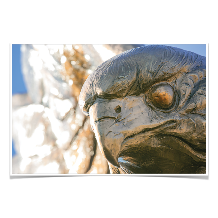 5151f17b0a03458e12fcc230c9a14a67.png