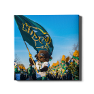 5b05756c414aa28a74e170655ab9a5c7.png