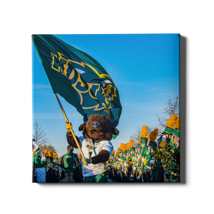 5b05756c414aa28a74e170655ab9a5c7.png