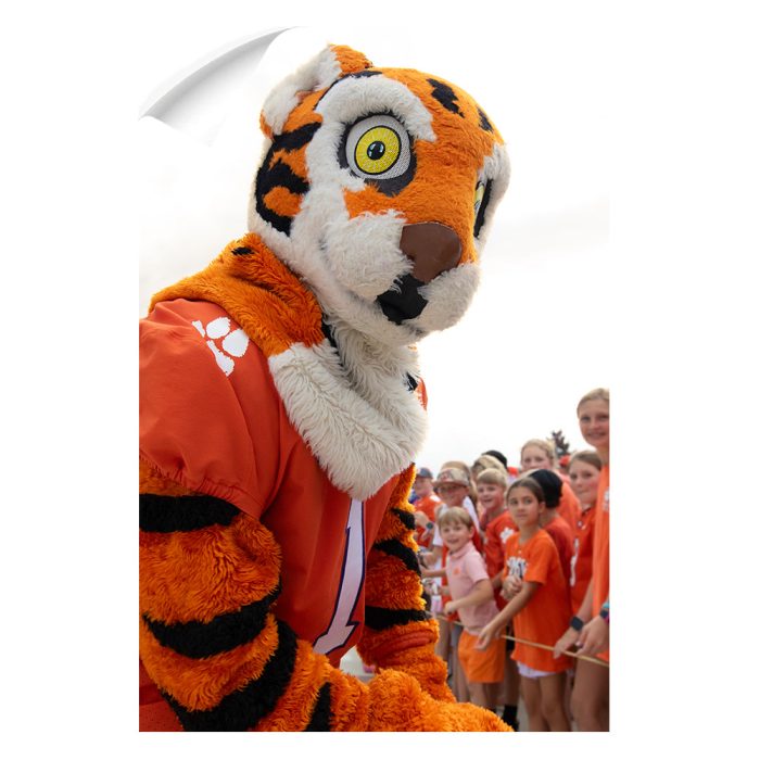 5b18f5d7cac1d62f4e4bc5fc73b43504.jpg