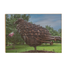 6ba69536334b1faed46f99592f9dc6bb.png