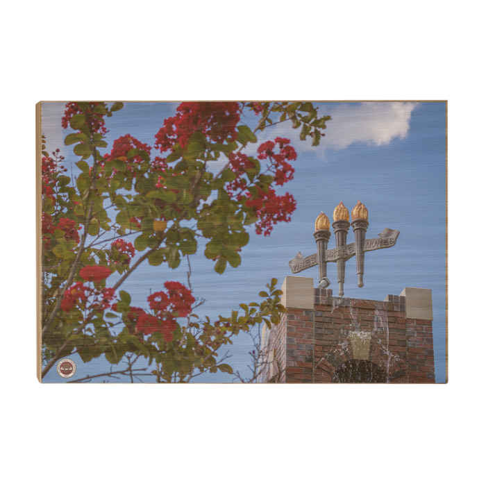 7f2eee0ff60c820189955aec0d5cbc96.png