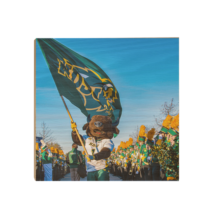 b31110f13552624358c33beed8689d6c.png