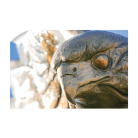 c3c57d162b1f6affc5b6365929c39ede.png