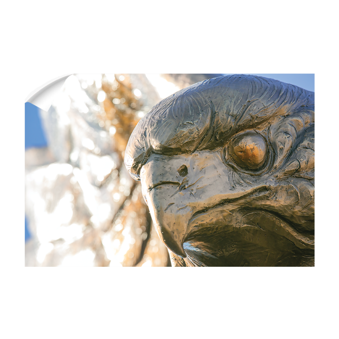 c3c57d162b1f6affc5b6365929c39ede.png
