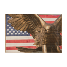 ddd43d067f14ff55cd48aeab364902ed.png