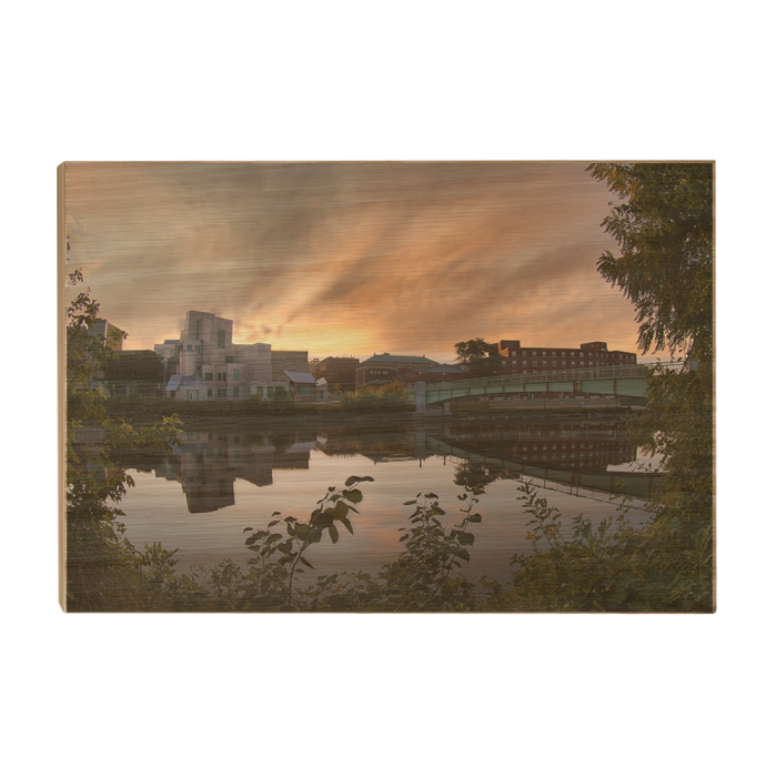 fe929ac633b8d6a4c88c873c202d903a.png