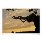 6ffe3817cd0392522bdb780c85f629df.png