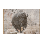 f1b88f92da19fbc83b34590a8f15626e.png